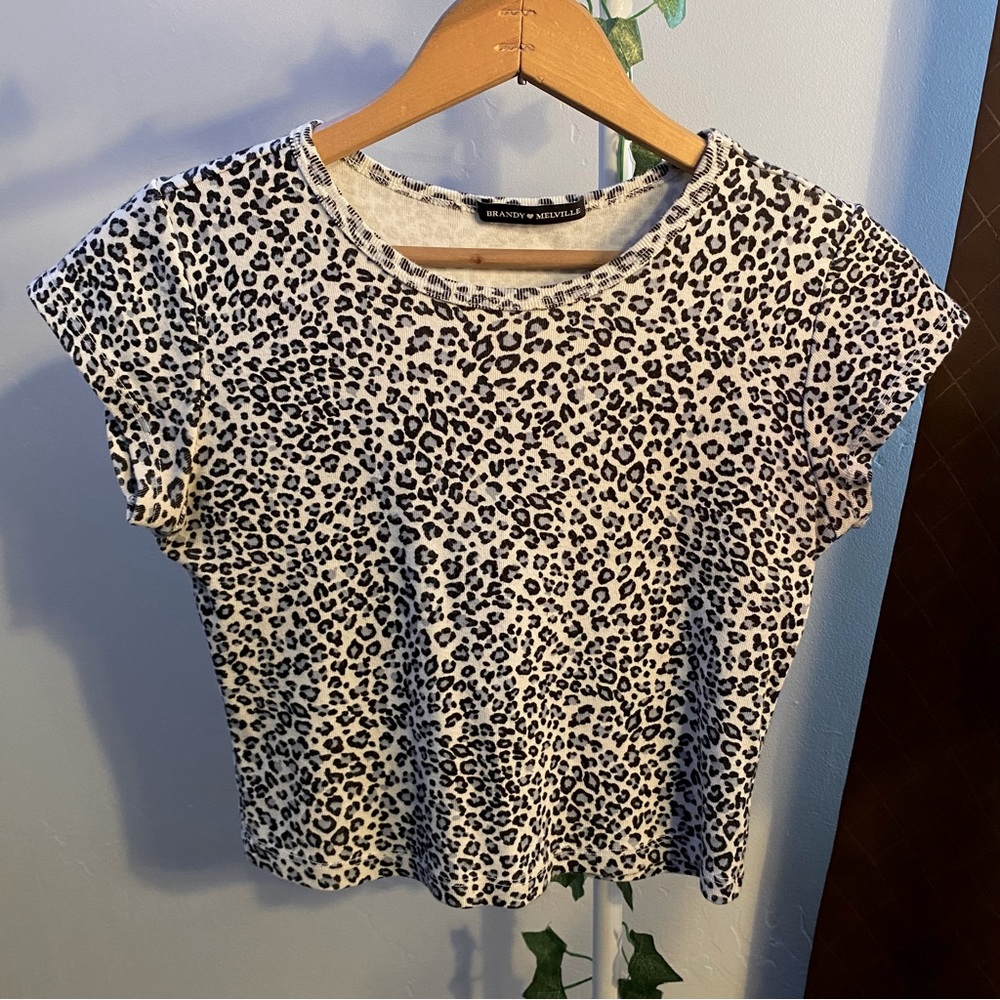 Brandy Melville Cheetah Print Baby Tee Beige/Light Blue